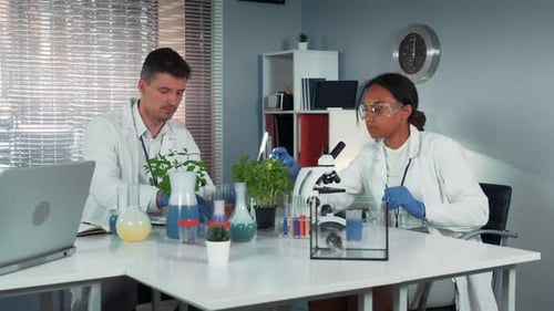 Black Female Research Scientist Giving His Colleague Test-tubes with Fertilizer and Then Making