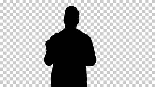 Silhouette Doctor, Alpha Channel