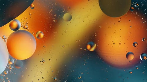 Multicolored Abstract Oil Macro Bubbles