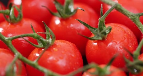 Kirschtomate in Rot