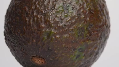 Avocado 56