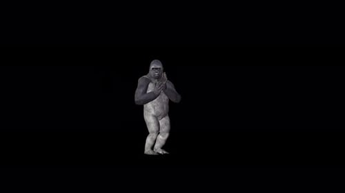 Gorilla 4K Personne d'autre que toi ne danse