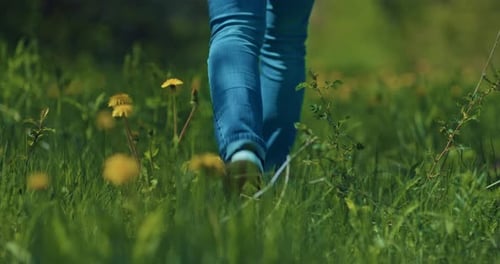 Young Woman is Walking Alone in Beautiful Field Closeup of Legs on Grass Rear View Prores