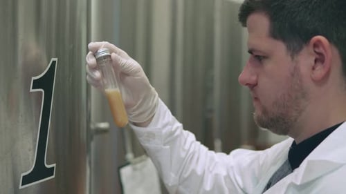 Le technologue en chef prélève un échantillon de la préparation de la bière