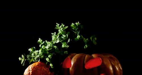 Halloween pumpkin with maple leaf against black background 4k