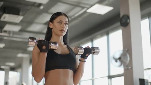 Young Attractive Girl Training with Barbell in the Gym Portrait Sport