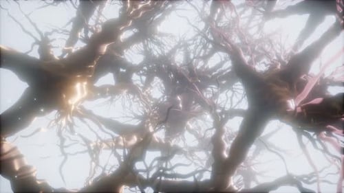 Journey Through a Neuron Cell Network Inside the Brain