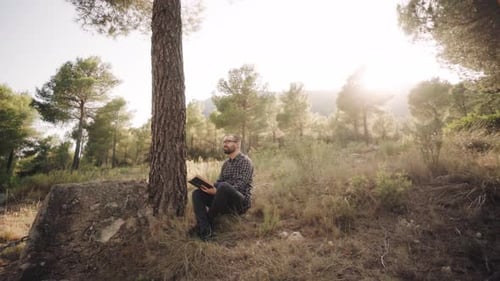 Junger Mann liest Buch unter dem Baum mit hellem Himmel im Hintergrund. - verkleinern