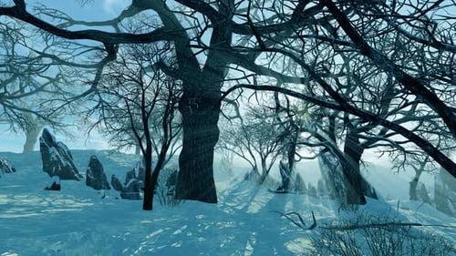 Park area in winter