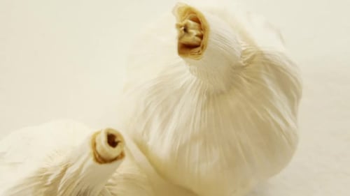 Garlic Bulbs Close-Up on White Background