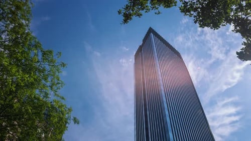 Timelapse Modern Skyscraper High Office Building and Green Trees Trembling in Wind Blue Sky and