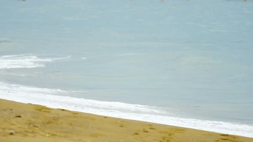 Waves Washing Ashore on Sandy Beach During Daytime