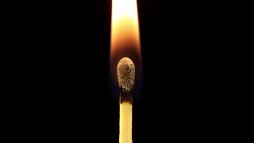 Igniting Wooden Match Burns Against Black Backdrop