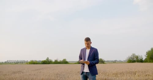 Man Using Tablet in Golden Wheat Field