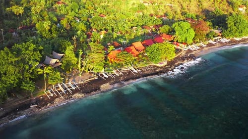 Top Down Aerial View of Traditional Indonesian Fishing Boats on Black Sand Beach with Green Palms