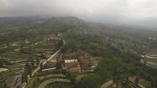 Aerial View of Terraced Farmland in Rural Setting