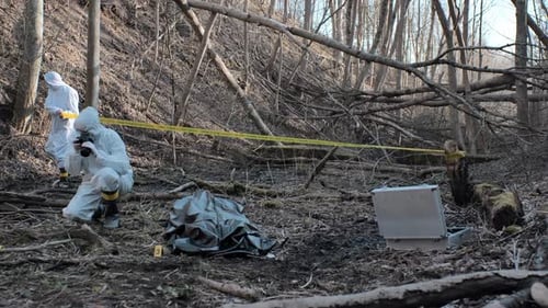 Forensic specialists working in the forest. Crime scene and police concept.