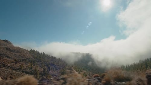 A Beautiful View of a Mountain Slope with Pine Trees Covered in Fluffy Cloud