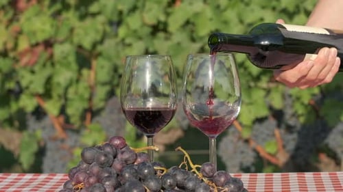 Rotwein in Zeitlupe in Weinbergen in Glas gießen