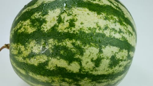Watermelon Covered In Drops Of Water