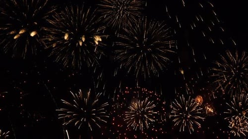 Spectacular Fireworks Exploding in the Night Sky