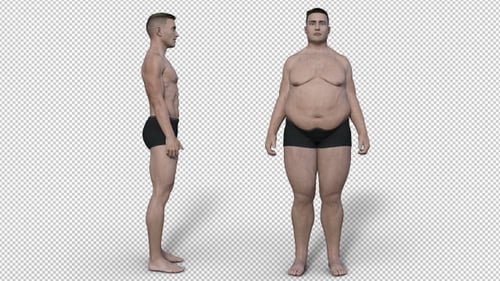 Male Body Transformation from Fit to Obese 3D Animation