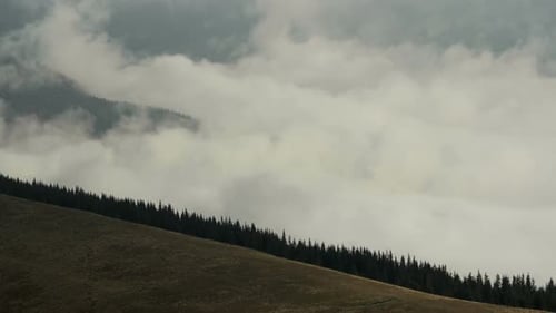 Zeitraffernebel schwebt im Gebirgstal mit Kiefernwald-Vordergrund