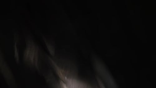 Abstract Light Leaks and Lens Flare on Black