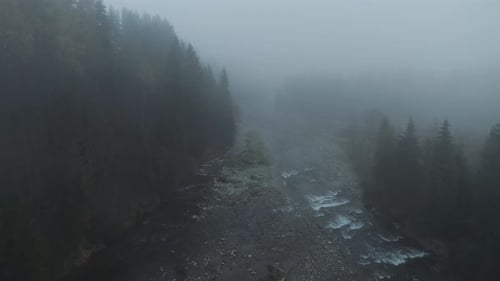 Mystical eerie forest with small river during mist, aerial under fog