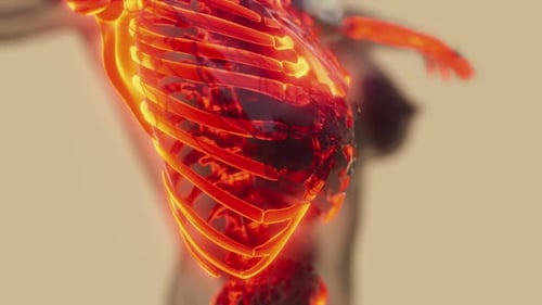 Futuristic Medical Scan of Glowing Human Rib Cage and Spine