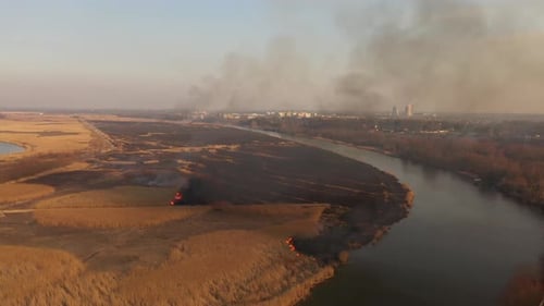 Burning dry reeds on the river bank