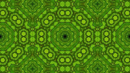 Green Organic Looped Kaleidoscope Background