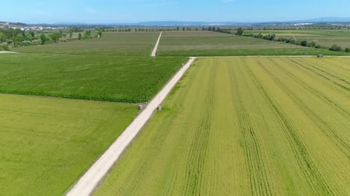 Aerial View of Green and Yellow Fields