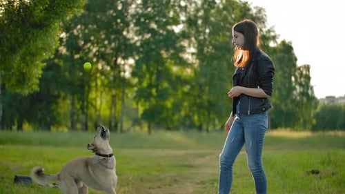 Woman and Dog Playing Fetch in the Park