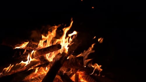 Campfire Burns Brightly at Night