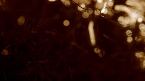 Abstraction. Petites lumières de petits objets en feu.