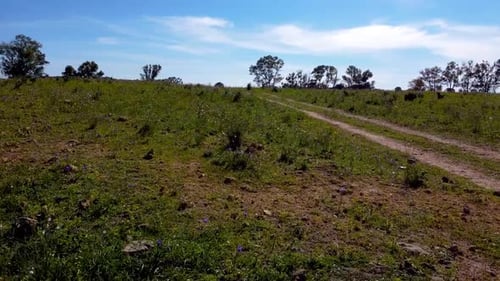 Slow and low camera of a meadow with a demarcated path on the right on a sunny day.