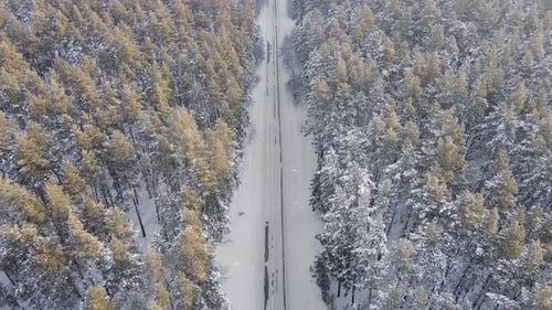 Luftaufnahme einer verschneiten Straße durch einen magischen Winterkiefernwald.