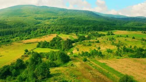 Scenic Aerial View of Rolling Green Hills and Forest