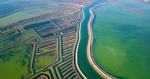 Straße entlang der horizontalen Kanäle von Venedig mit Algenwasserblüte