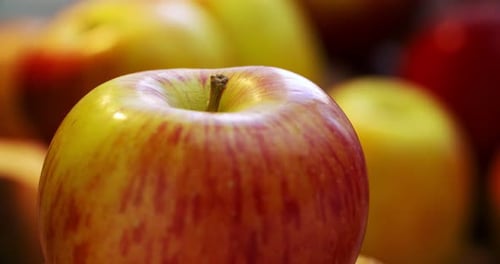 Fresh Apple Close Up