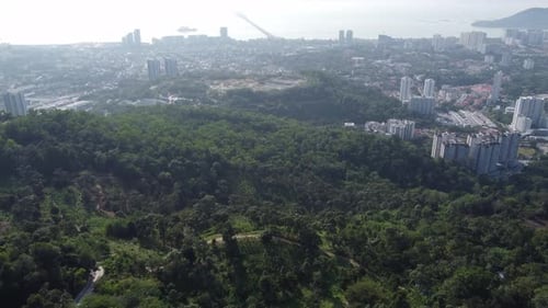 Aerial view misty forest.