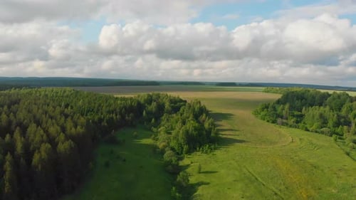 Green Field and Forest with Cloudy Sky Above