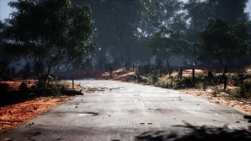 Clean Rural Road with Trees