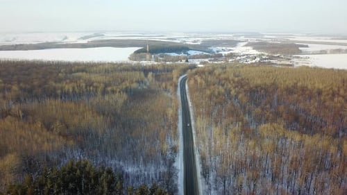 Forest Road In The Village