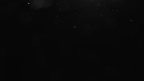 Abstract Dark Background with Floating White Particles