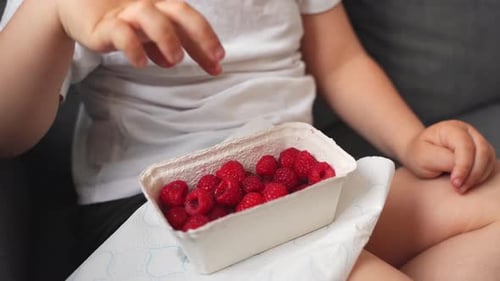 Close Up of Kid Hands Eating Raspberries From Paper Container