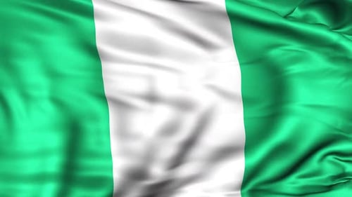 Waving Flag of Nigeria Seamlessly Loops
