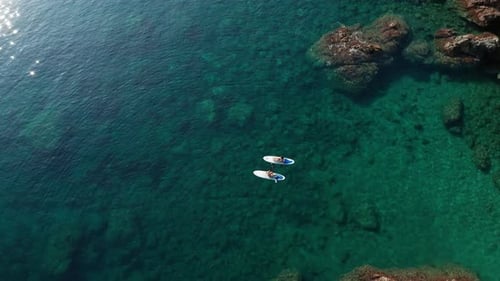 Fit women floating on paddle board in sea