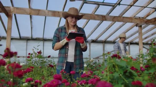 Woman Using Tablet in Greenhouse with Roses